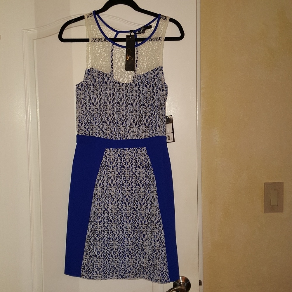 Lace dress